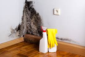 Mold Remediation for Vacation Homes in Merkel, TX